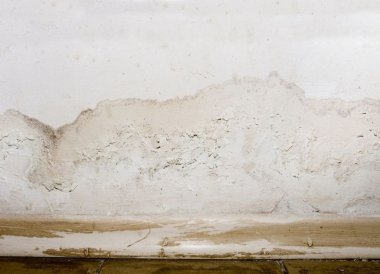 4 signs your home needs rising damp treatment