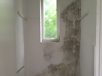 damp proofing dorset