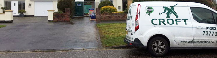 damp treatment experts