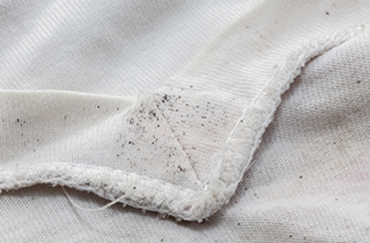 Croft Preservation - How to get rid of mould on clothes