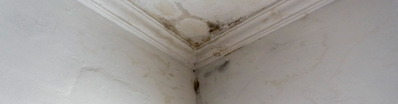 penetrating damp Dorset