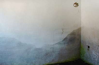 Croft Preservation - Buying a House thit a Damp Problem